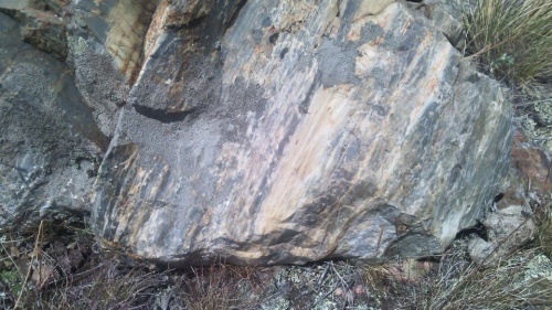 Гигантские зелёные валуны для ландшафтного дизайна весом более 5 тонн купить в Краснозаводске